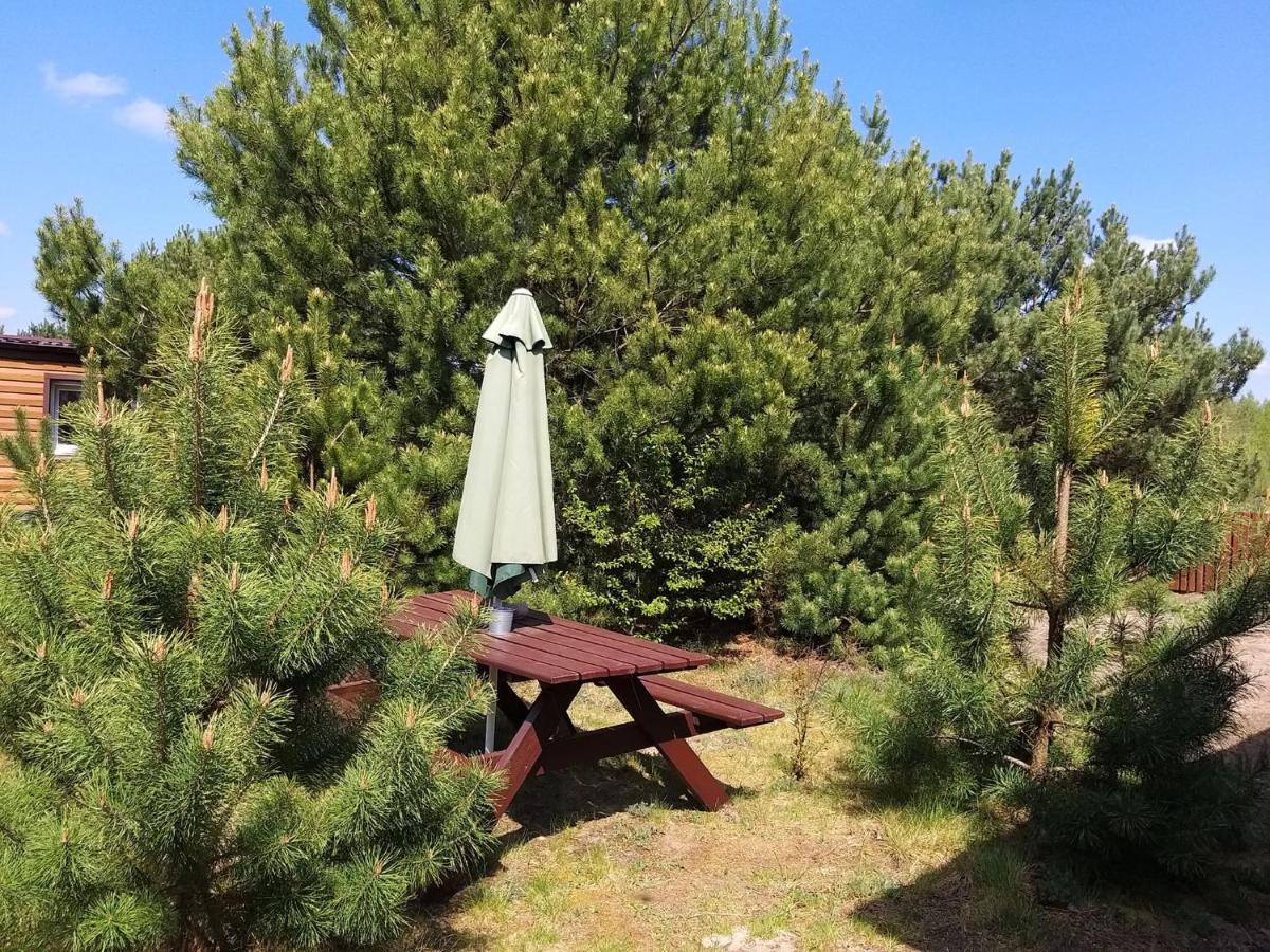 Miodowy Zakatek Caloroczne Domki I Pokoje Przy Suntago, Deepspot, Pyszne Sniadania, Grill, Ognisko Mszczonow Ngoại thất bức ảnh