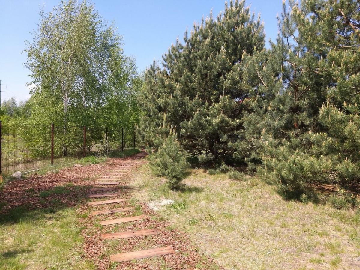 Miodowy Zakatek Caloroczne Domki I Pokoje Przy Suntago, Deepspot, Pyszne Sniadania, Grill, Ognisko Mszczonow Ngoại thất bức ảnh